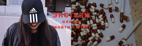 индика Верхний Тагил