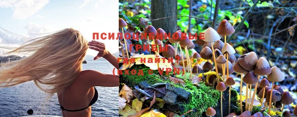 2c-b Волосово
