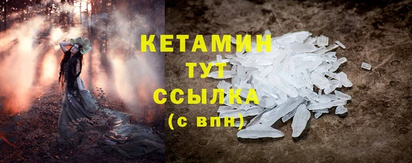 индика Верхний Тагил