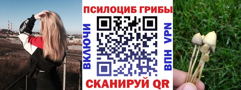 Галлюциногенные грибы мухоморы  сайты даркнета Telegram  Вязники  ОМГ ОМГ вход 